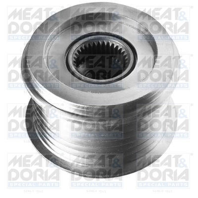 Alternator Freewheel Clutch